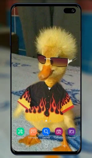 Funny Wallpaper app displaying duckling wearing sunglasses and flame shirt on mobile home screen