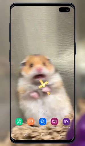 Funny Wallpaper app featuring surprised hamster holding cheese on Android phone lock screen