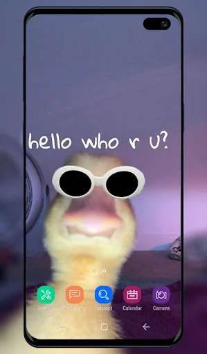 Funny Wallpaper app with 'hello who r u?' text and cat wearing sunglasses on phone home screen