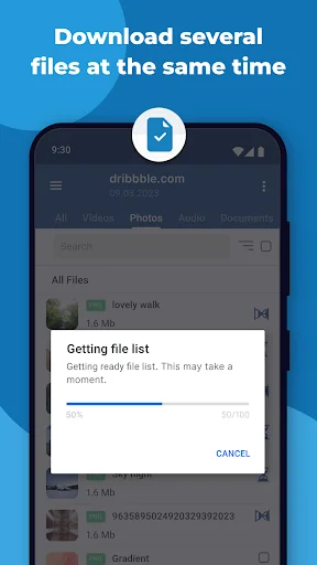 Download multiple files simultaneously with progress indicator showing getting file list status and download queue management