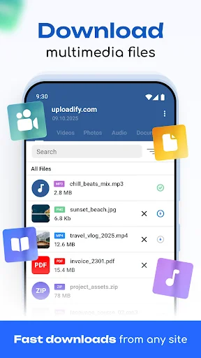 Download multiple multimedia file types including audio, video, PDF, and archives from any website easily and quickly