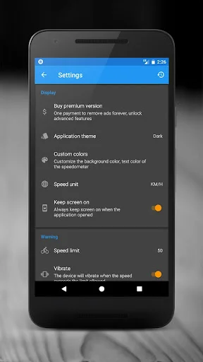 Settings menu displaying speedometer customization options including theme, colors, units, and alert preferences