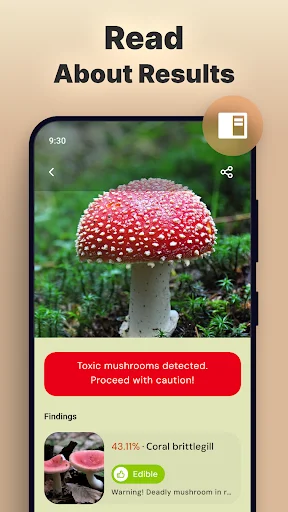 Mushroom identification results screen showing toxic red mushroom with warning and coral brittlegill match