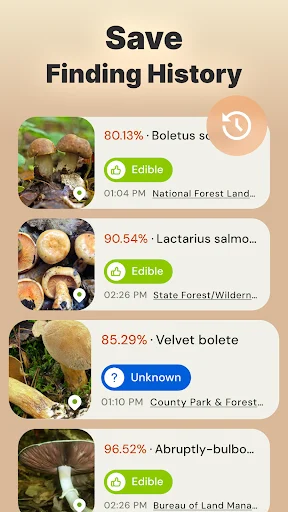 Mushroom finding history screen displaying saved identifications with edibility status and locations