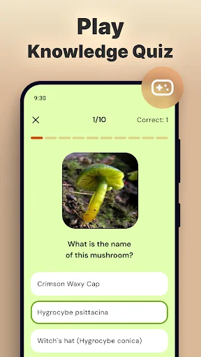 Mushroom knowledge quiz game screen asking to identify yellow-green mushroom with multiple choice