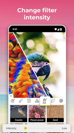 Filter intensity slider control on parrot photo showing adjustable artistic effect strength with low to high settings