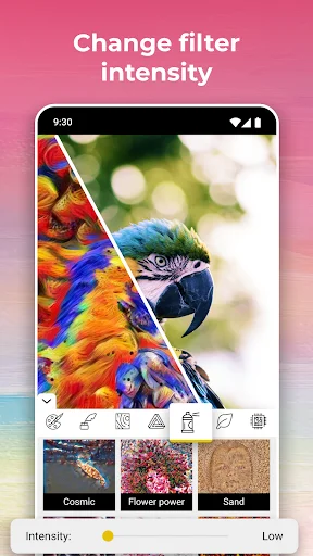 Adjustable filter intensity control for AI art effects on parrot photo with Cosmic, Flower power, Sand styles