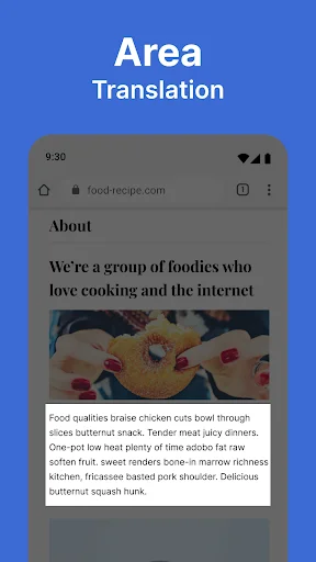 Area selection translation feature translating highlighted recipe text on food website