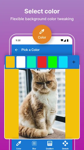 Photo editor color picker interface with cat photo on yellow background showing flexible color customization tools